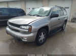 2002 Chevrolet Trailblazer Lt Tan vin: 1GNDT13S022530737