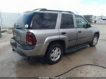 2002 Chevrolet Trailblazer Lt Tan vin: 1GNDT13S022530737