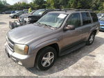 2006 Chevrolet Trailblazer Lt Gray vin: 1GNDT13S062133339