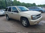 2006 Chevrolet Trailblazer Ls Gold vin: 1GNDT13S062139089