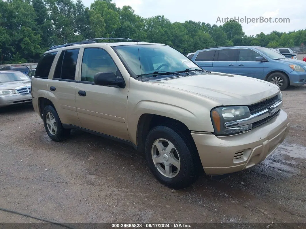 2006 Chevrolet Trailblazer Ls Gold vin: 1GNDT13S062139089