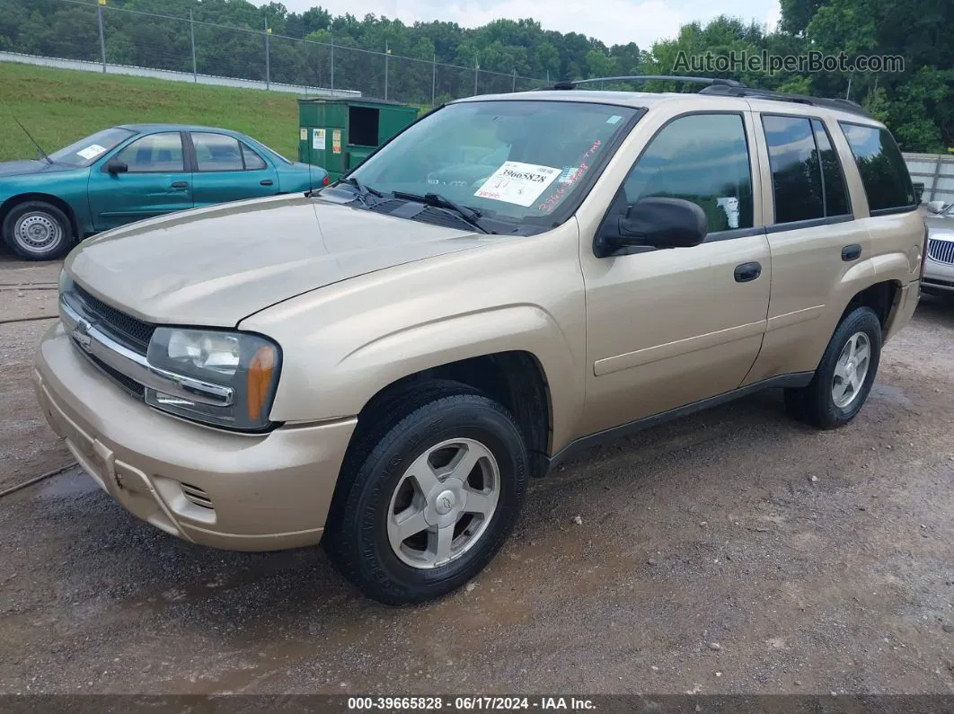 2006 Chevrolet Trailblazer Ls Gold vin: 1GNDT13S062139089