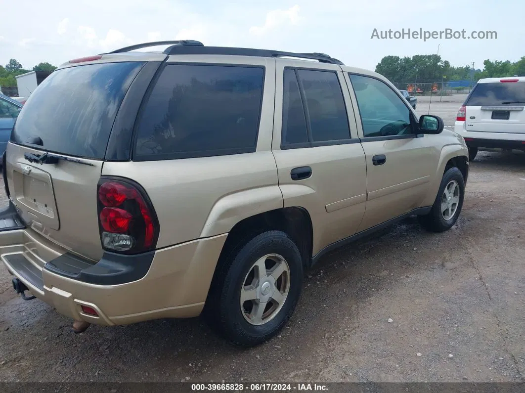 2006 Chevrolet Trailblazer Ls Gold vin: 1GNDT13S062139089