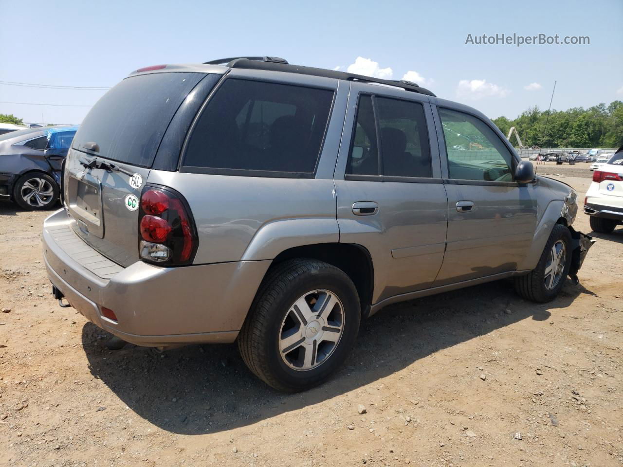 2006 Chevrolet Trailblazer Ls Silver vin: 1GNDT13S062167023