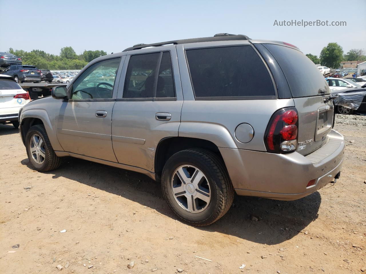 2006 Chevrolet Trailblazer Ls Серебряный vin: 1GNDT13S062167023