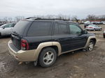 2006 Chevrolet Trailblazer Ls Black vin: 1GNDT13S062232789