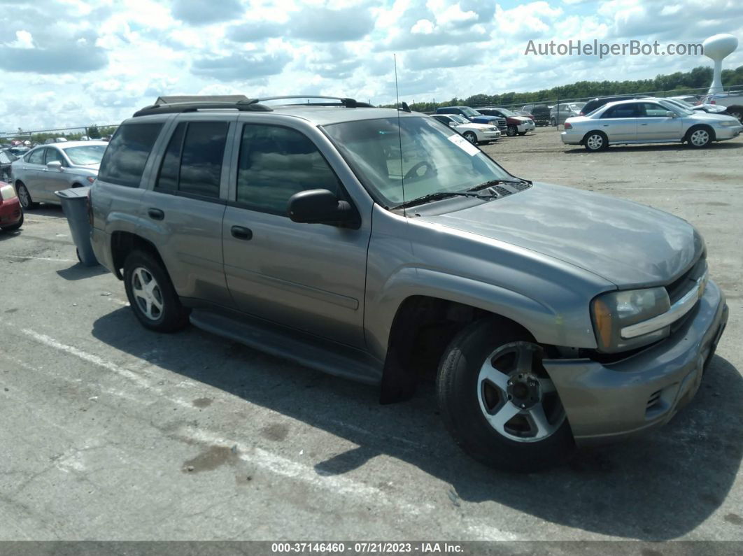 2006 Chevrolet Trailblazer Ls Золотой vin: 1GNDT13S062247681