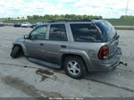 2006 Chevrolet Trailblazer Ls Золотой vin: 1GNDT13S062247681