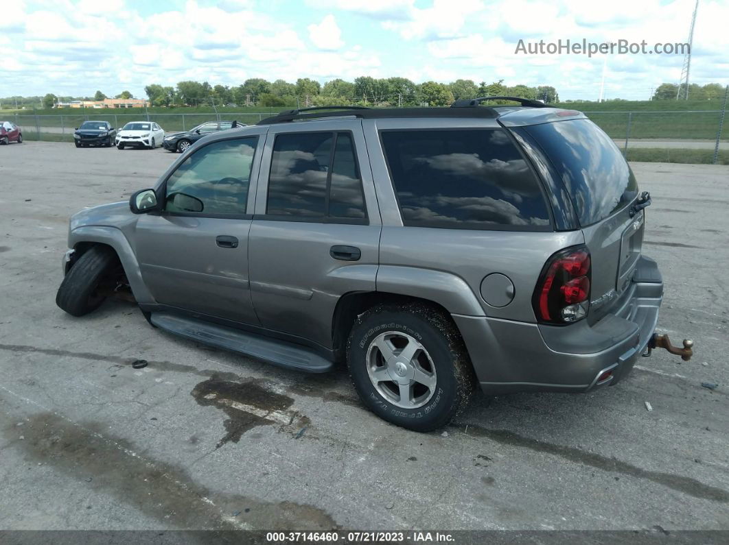 2006 Chevrolet Trailblazer Ls Золотой vin: 1GNDT13S062247681