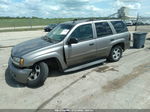 2006 Chevrolet Trailblazer Ls Золотой vin: 1GNDT13S062247681