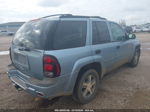 2006 Chevrolet Trailblazer Ls Light Blue vin: 1GNDT13S062323156