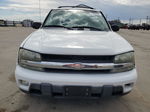 2002 Chevrolet Trailblazer  Белый vin: 1GNDT13S122189025