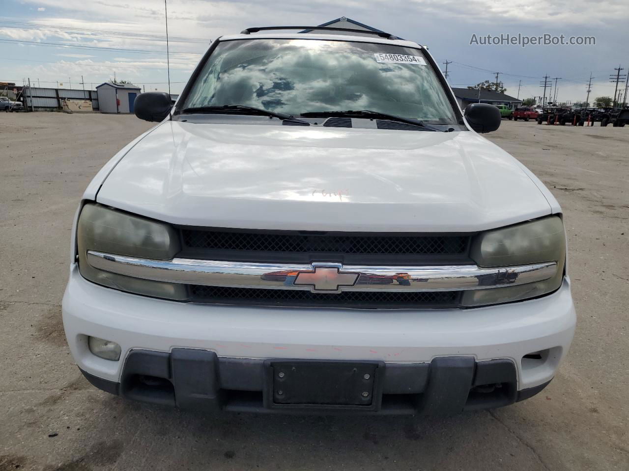 2002 Chevrolet Trailblazer  White vin: 1GNDT13S122189025