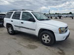 2002 Chevrolet Trailblazer  White vin: 1GNDT13S122189025