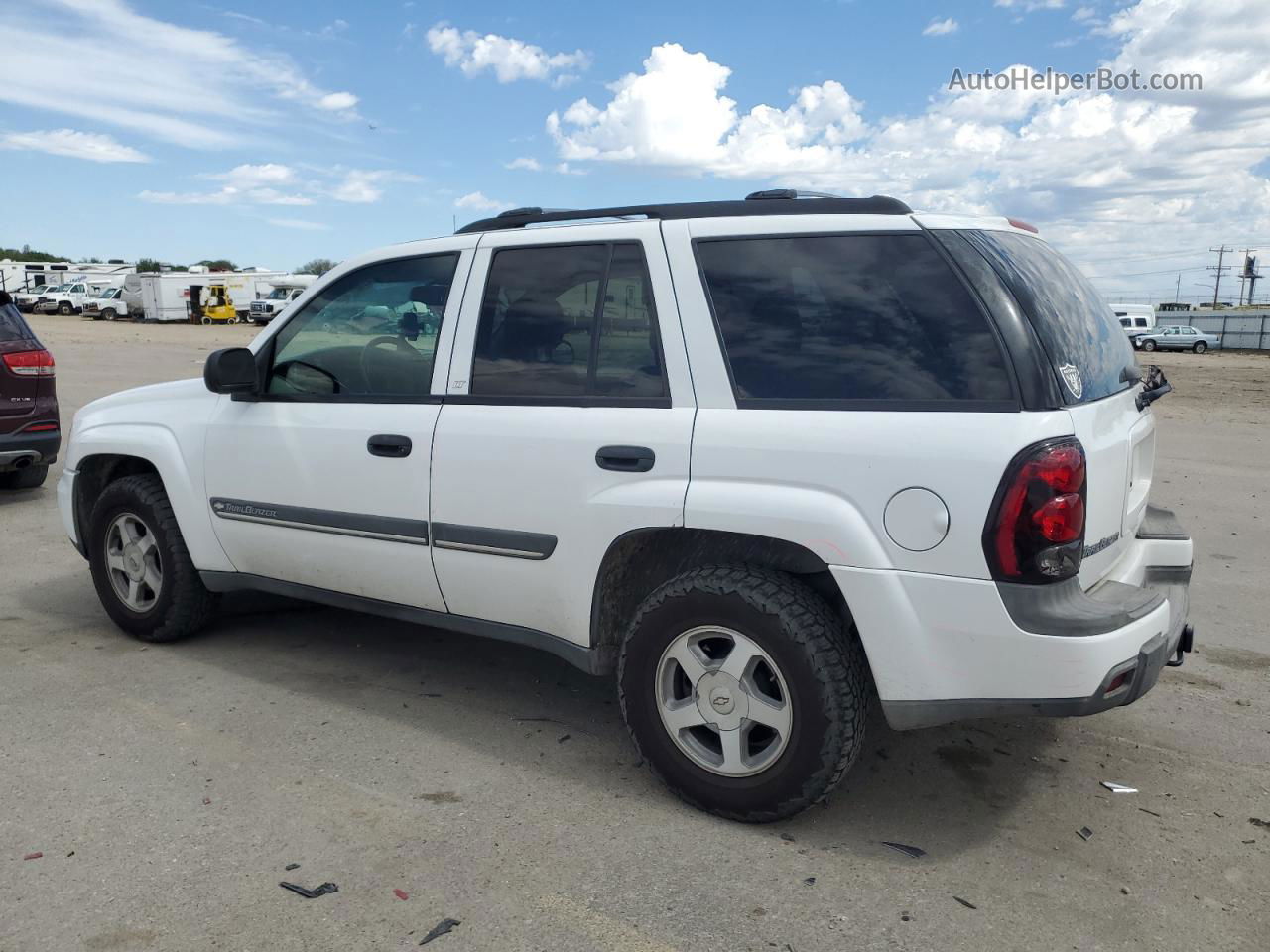 2002 Chevrolet Trailblazer  White vin: 1GNDT13S122189025