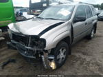 2002 Chevrolet Trailblazer Lt Оловянный vin: 1GNDT13S122276052