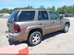 2002 Chevrolet Trailblazer Lt Gold vin: 1GNDT13S122345032