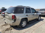 2002 Chevrolet Trailblazer  Silver vin: 1GNDT13S122352773