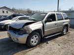 2002 Chevrolet Trailblazer  Silver vin: 1GNDT13S122352773