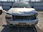 2002 Chevrolet Trailblazer  Silver vin: 1GNDT13S122352773