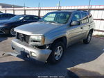 2002 Chevrolet Trailblazer Lt Gray vin: 1GNDT13S122430162