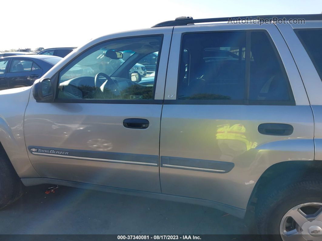 2002 Chevrolet Trailblazer Lt Gray vin: 1GNDT13S122430162