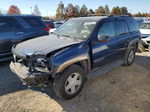 2002 Chevrolet Trailblazer  Blue vin: 1GNDT13S122504633