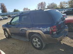 2002 Chevrolet Trailblazer  Blue vin: 1GNDT13S122504633