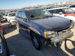 2002 Chevrolet Trailblazer  Blue vin: 1GNDT13S122504633