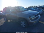 2002 Chevrolet Trailblazer Lt Gold vin: 1GNDT13S122521335