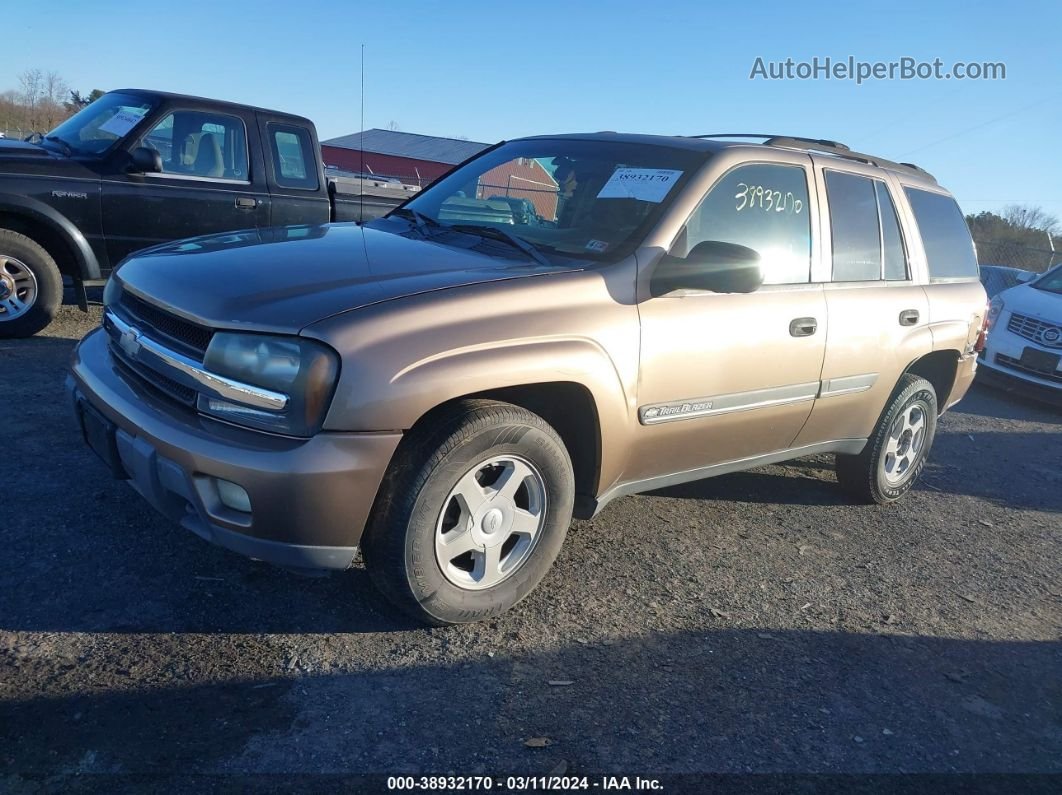 2002 Chevrolet Trailblazer Lt Gold vin: 1GNDT13S122521335