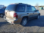 2002 Chevrolet Trailblazer Lt Gold vin: 1GNDT13S122521335