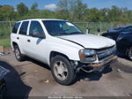 2006 Chevrolet Trailblazer Ls vin: 1GNDT13S162109650