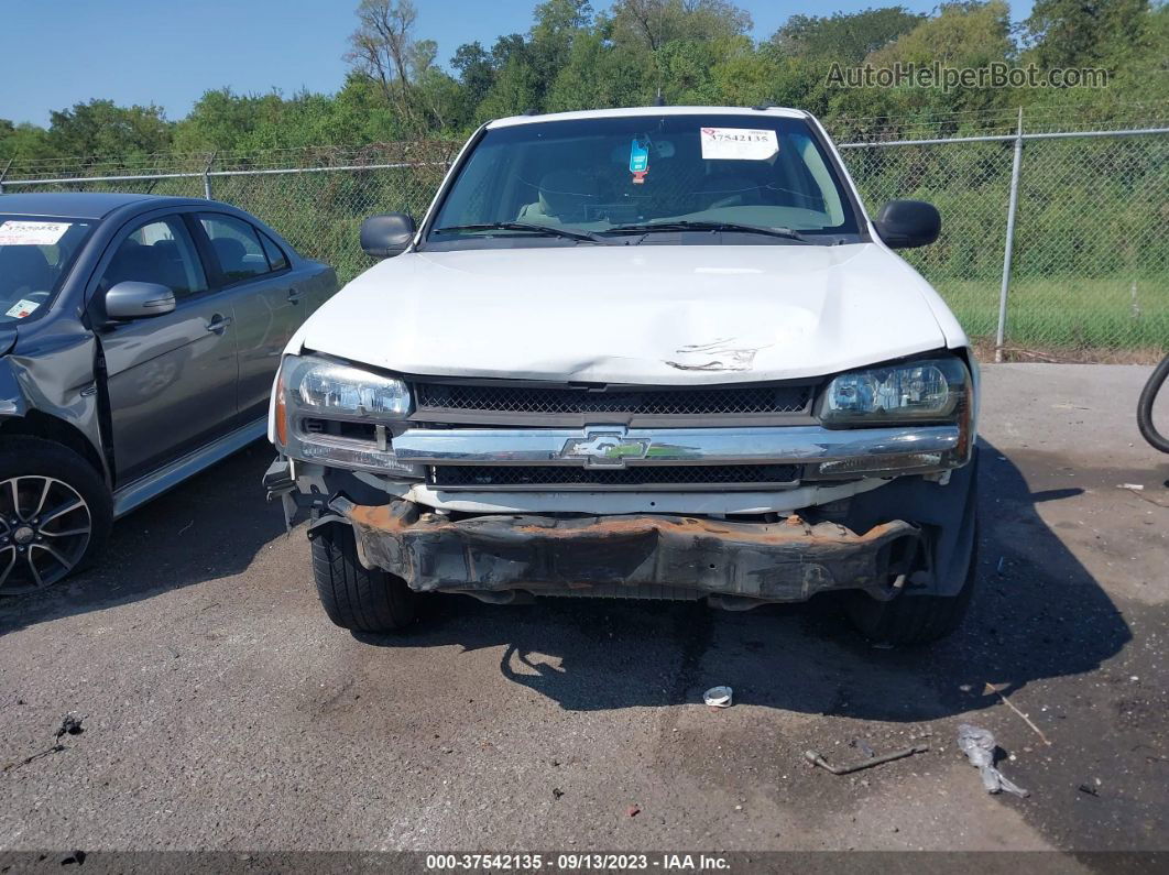 2006 Chevrolet Trailblazer Ls vin: 1GNDT13S162109650