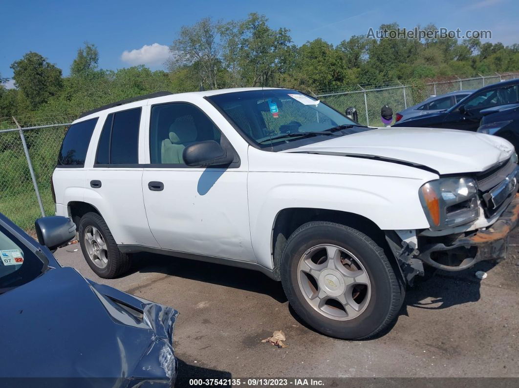 2006 Chevrolet Trailblazer Ls vin: 1GNDT13S162109650