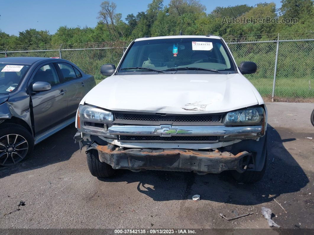 2006 Chevrolet Trailblazer Ls vin: 1GNDT13S162109650