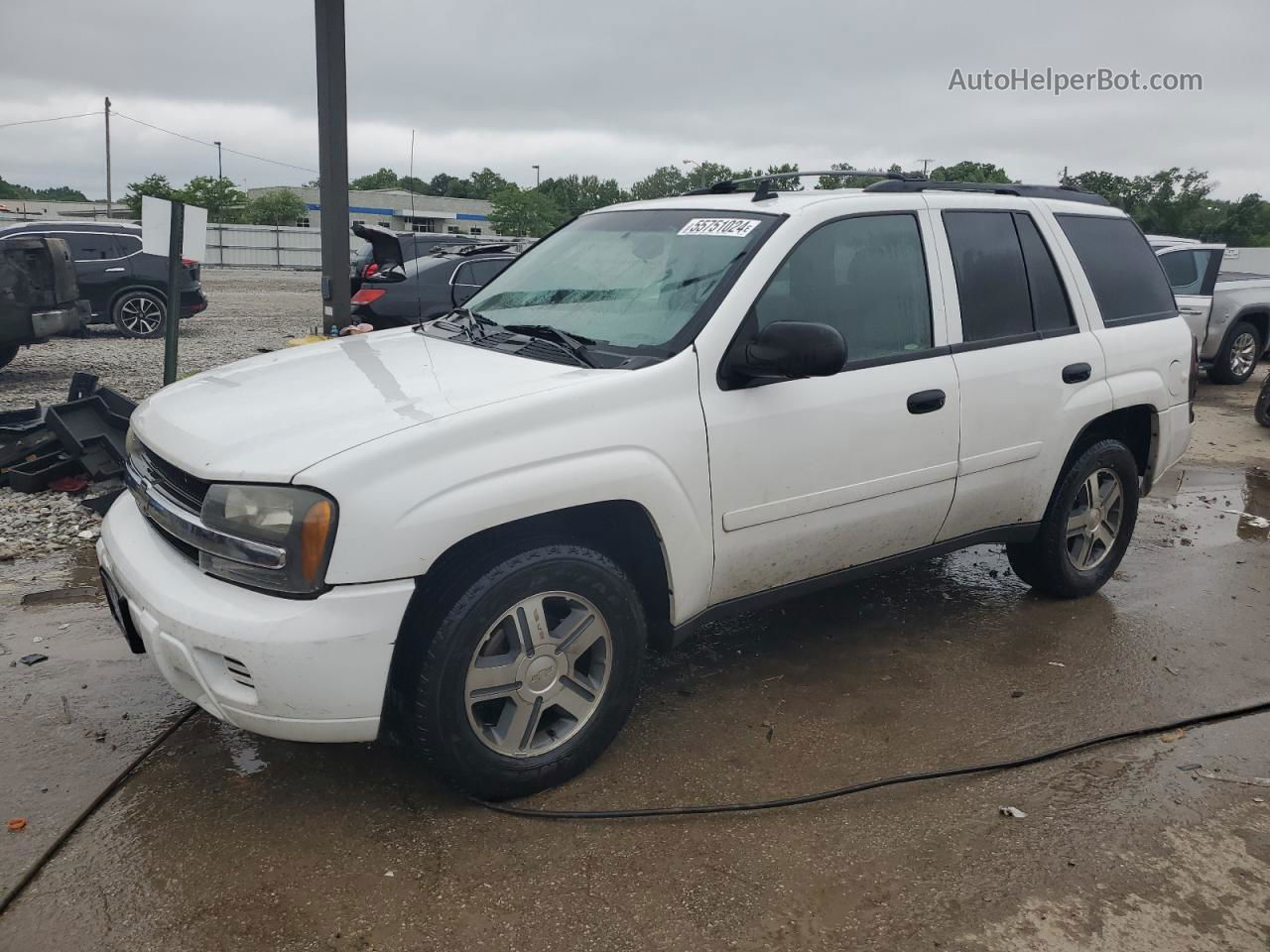 2006 Chevrolet Trailblazer Ls White vin: 1GNDT13S162144141