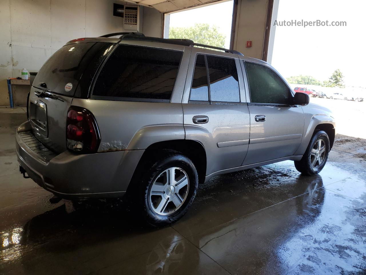 2006 Chevrolet Trailblazer Ls Серый vin: 1GNDT13S162179987