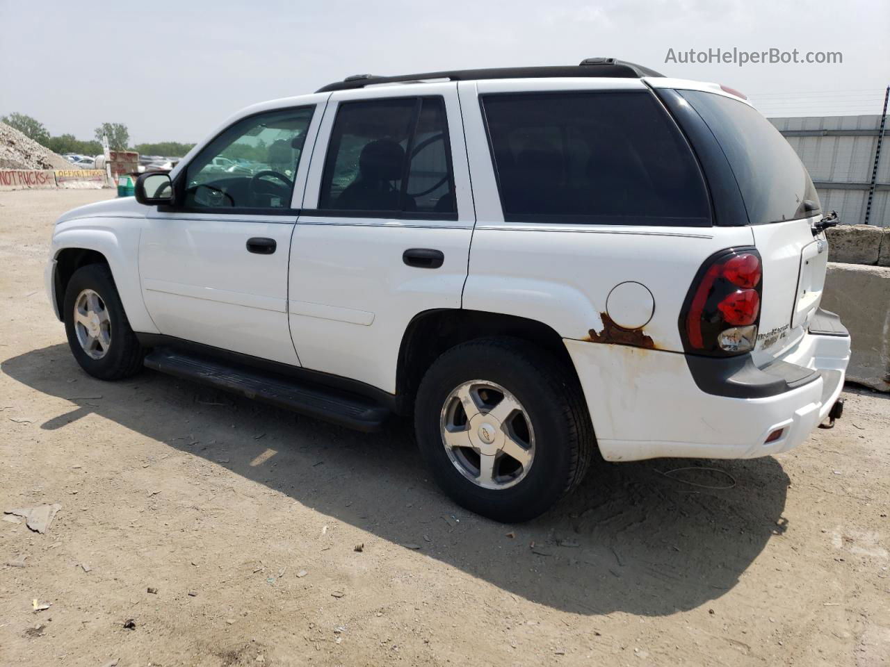 2006 Chevrolet Trailblazer Ls Белый vin: 1GNDT13S162191461