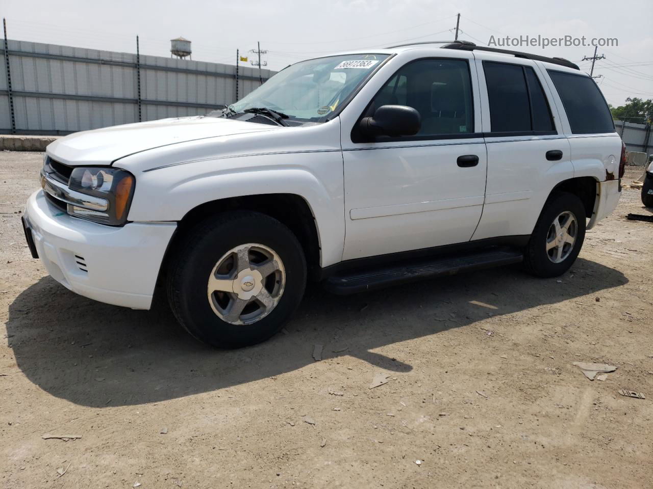 2006 Chevrolet Trailblazer Ls Белый vin: 1GNDT13S162191461