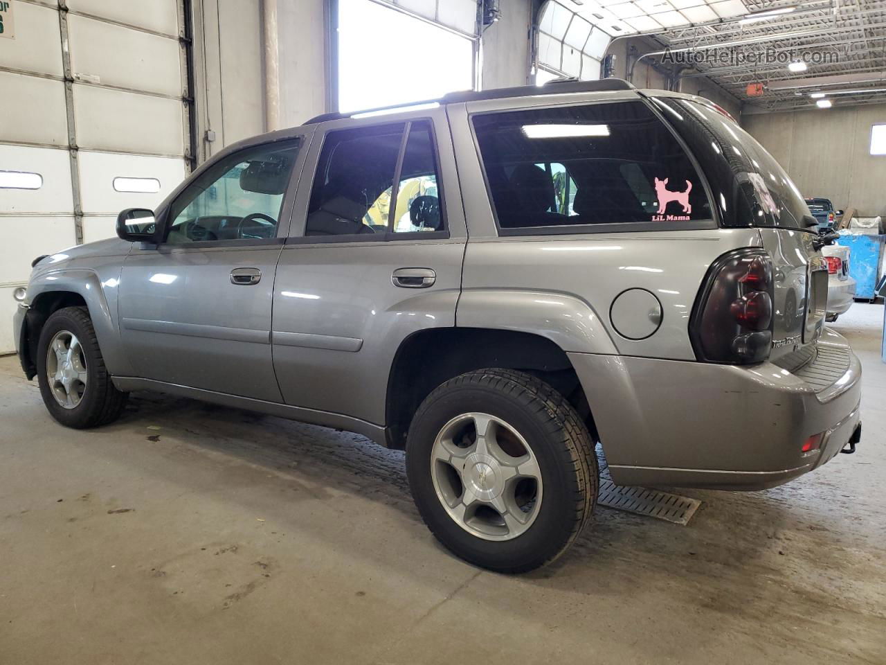 2006 Chevrolet Trailblazer Ls Gold vin: 1GNDT13S162214219