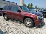 2006 Chevrolet Trailblazer Ls Burgundy vin: 1GNDT13S162240707