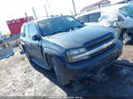 2006 Chevrolet Trailblazer Ls Gray vin: 1GNDT13S162269589