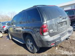 2006 Chevrolet Trailblazer Ls Gray vin: 1GNDT13S162269589