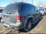 2006 Chevrolet Trailblazer Ls Gray vin: 1GNDT13S162269589