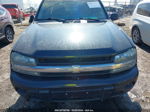 2006 Chevrolet Trailblazer Ls Серый vin: 1GNDT13S162269589