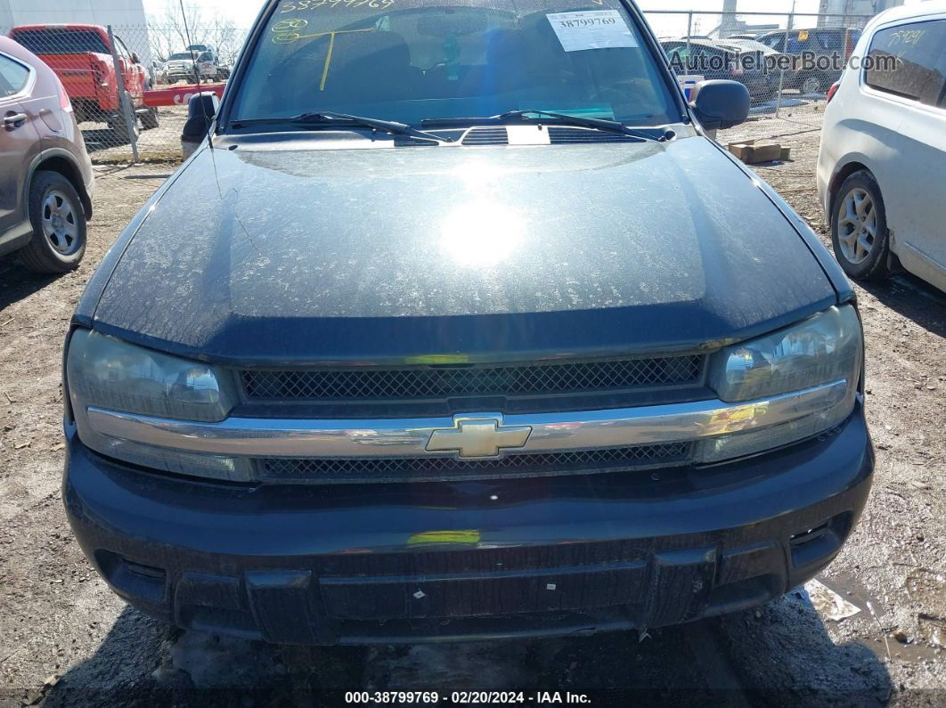 2006 Chevrolet Trailblazer Ls Gray vin: 1GNDT13S162269589