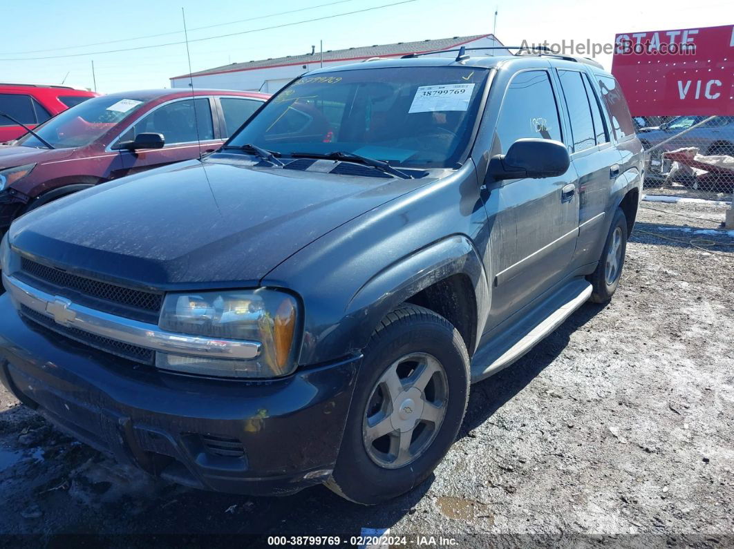 2006 Chevrolet Trailblazer Ls Серый vin: 1GNDT13S162269589