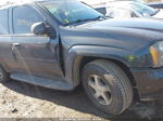 2006 Chevrolet Trailblazer Ls Серый vin: 1GNDT13S162269589