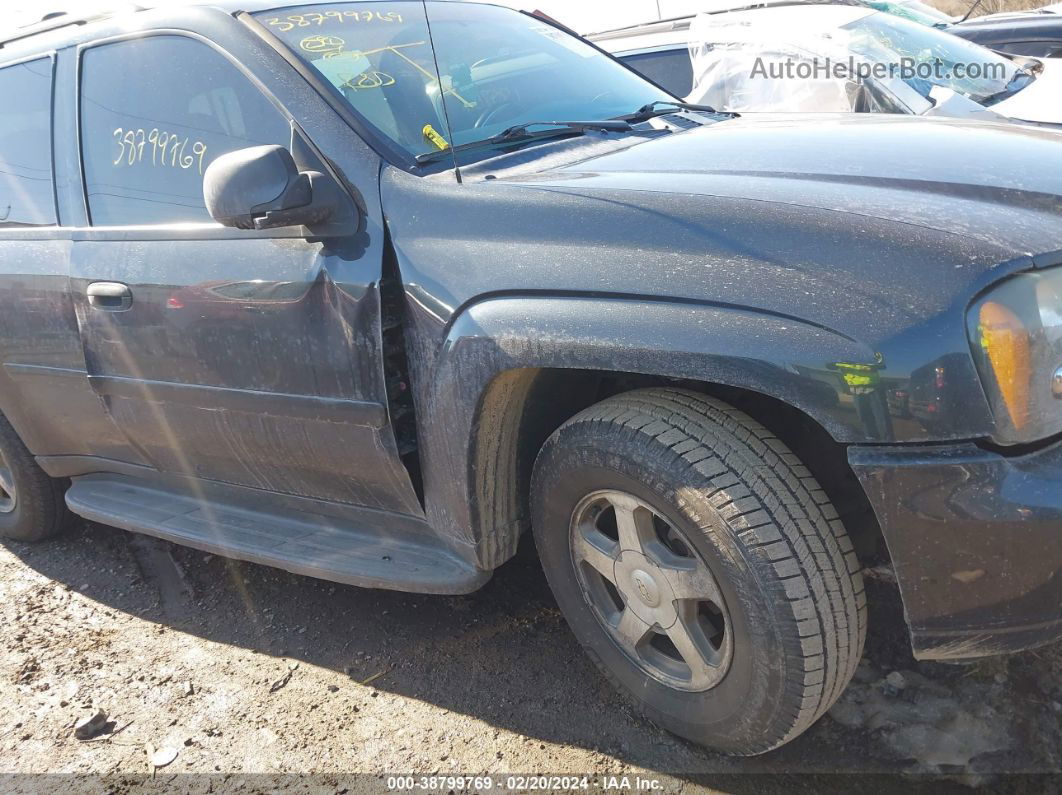 2006 Chevrolet Trailblazer Ls Gray vin: 1GNDT13S162269589